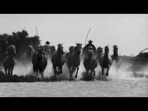 Depeche Mode vs. Tears for Fears +++ Only When I Shout At Myself [Dizzyfugu's Mash-up]