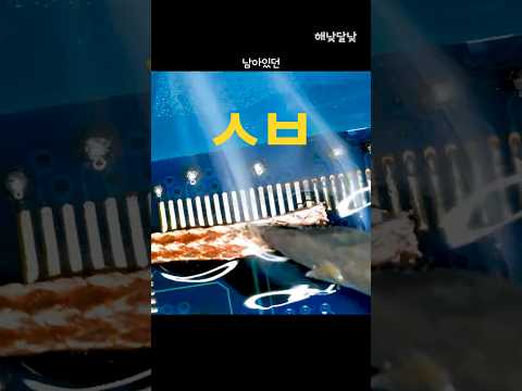 거래처 믿어본다... 고장 난 ASUS FX504GM 노트북!