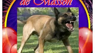 Download lagu Rara leogane  2019 Chen michan live Masson (wouke) mp3