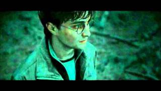 Harry Potter and the Deathly Hallows Part 2 - Voldemort