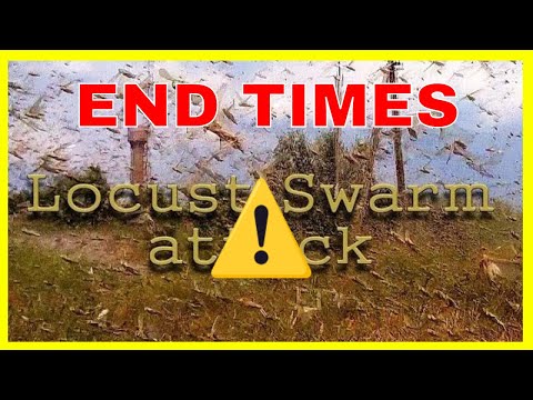 End Times signs prophecy news update (June 27, 2020)