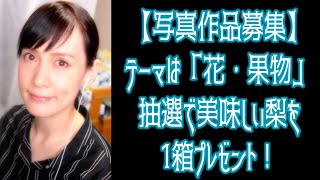 【写真作品募集】テーマは「花・果物」抽選で美味しい梨1箱プレゼント！