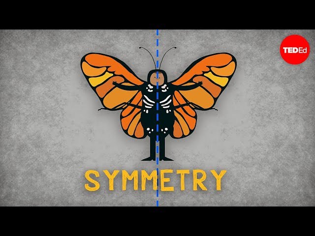 Video Pronunciation of bilateral symmetry in English Video Pronunciation of bilateral symmetry in English