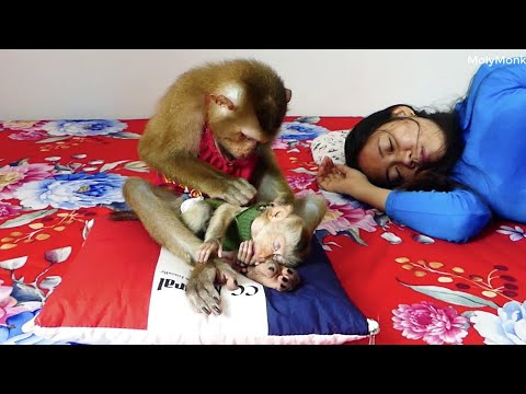 Mum Tired & Let Morri Take Care Replace Mom, Mori So Much Love Cici