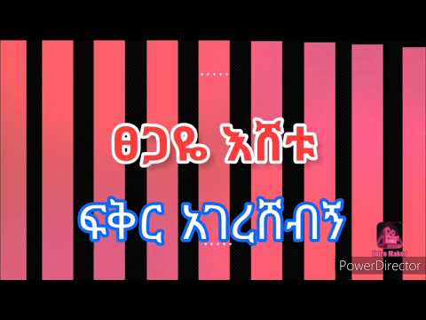 ጸጋዬ እሸቱ ፍቅር አገረሸብኝ Tsegaye Eshetu Fikir agereshebign