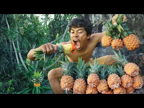 Find Fruits are food - Rich fruits at up the hill