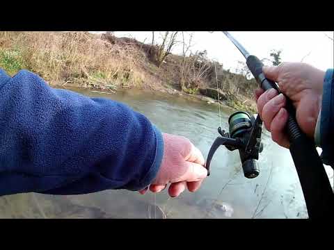 questa carpa mi ha messo in difficoltà