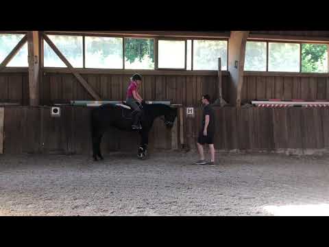 Faunus 07.2020 vor Abholung bei Nicole Hofmann Video 15 -  IMG 1323