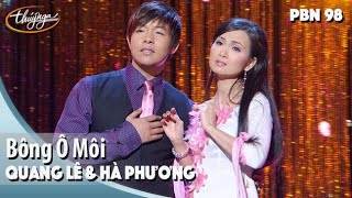 Video hợp âm Hoa Cài Mái Tóc Quang Lê