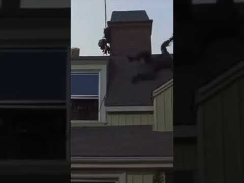 The Burbs, YO RUMSFIELD‼️