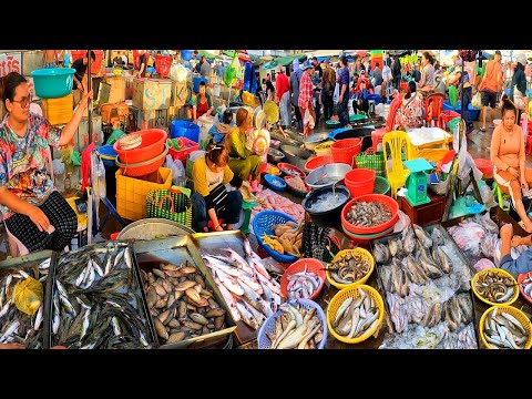 Cambodian Wet Market Activities. Wet Market has lot of live Fish, Both Small and Large.