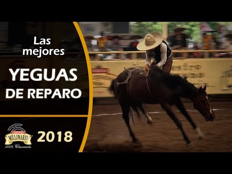 YEGUAS CHAMUCAS de REPARO - Campeonato Millonario THV 2018