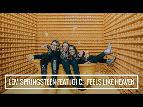 Lem Springsteen ft Joi Cardwell - Feels Like Heaven