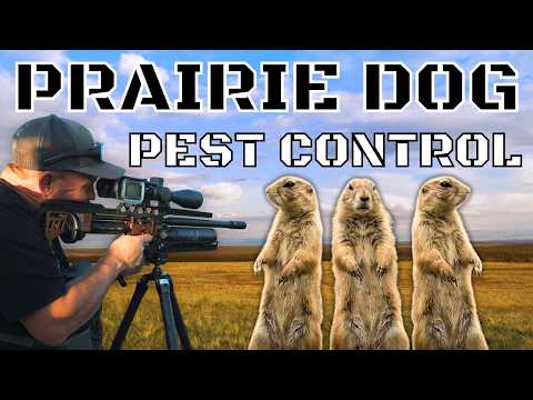 Hunting THOUSANDS of Prairie Dogs! | Prairie Dog Palooza 2024 | Utah Airguns