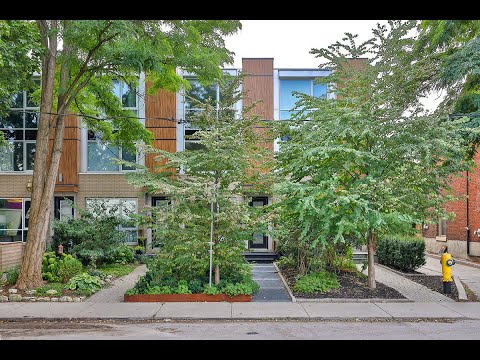 67 Vine Avenue