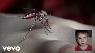 Mosquito Music Video