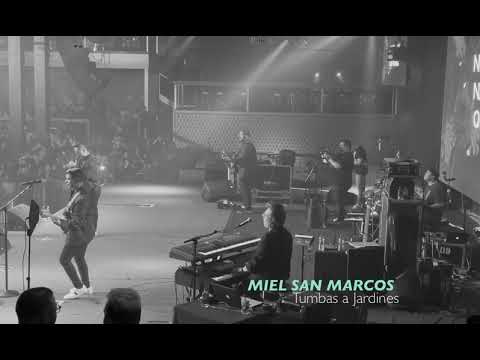MIEL SAN MARCOS-TUMBAS A JARDINES-ATLANTA COLISEUM