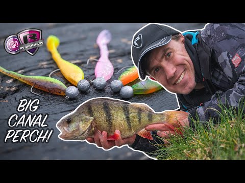 THESE TINY LURES CATCH BIG PERCH | UK Canal Fishing using Dropshot and Jigs!