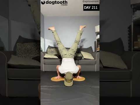 Bloke Works Out on All Fours Like ‘Human Dog'  || Dogtooth Media