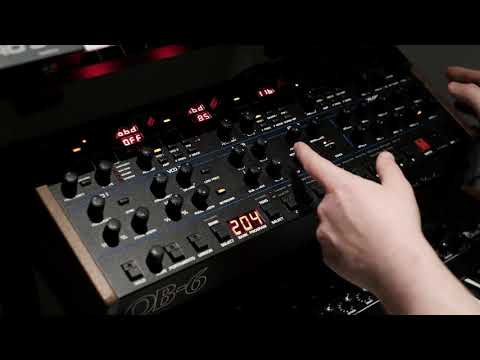 Beautiful Sequential OB-6 Filter | No talking