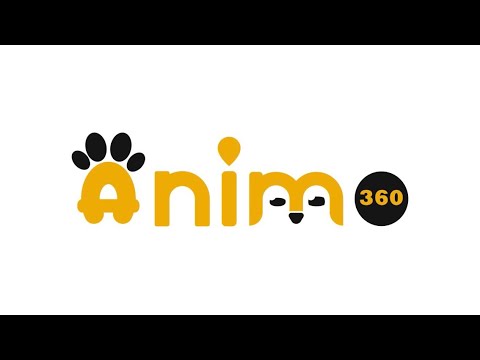 Animo360 video thumbnail