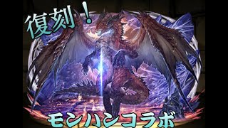 【パズドラ】モンハンコラボ復活！！　期待を裏切らない闇っぷり