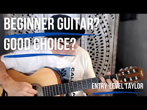 Is the Taylor Academy 12e‑N a Good Beginner Guitar? – Full Review & Sound Test