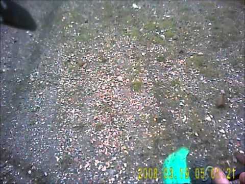 gaz h n jezza again oh yea