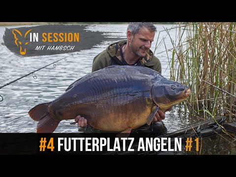 ***Karpfenangeln TV*** In Session mit Hambsch #4 Futterplatz Angeln #1