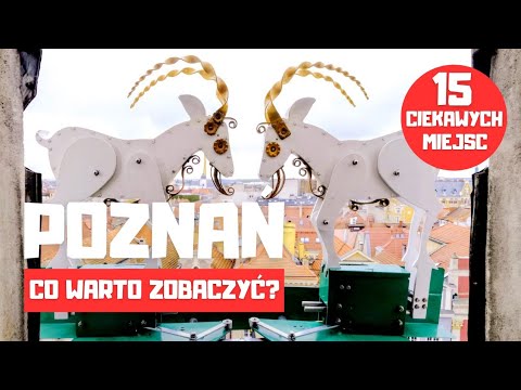 15 interesting places in Poznań - what is worth seeing?