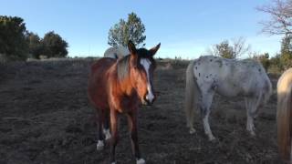 Coucher de Soleil en pays Cathare (Apache Version 2)    4K ULTRA HD