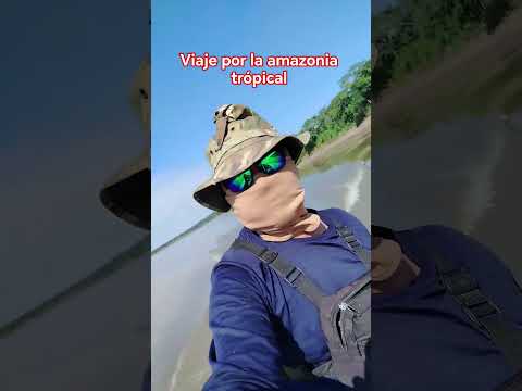 PUERTO VILLARROEL AMAZONIA TROPICAL