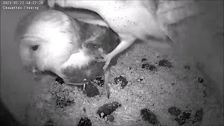 Beginn der Liebesbeziehung