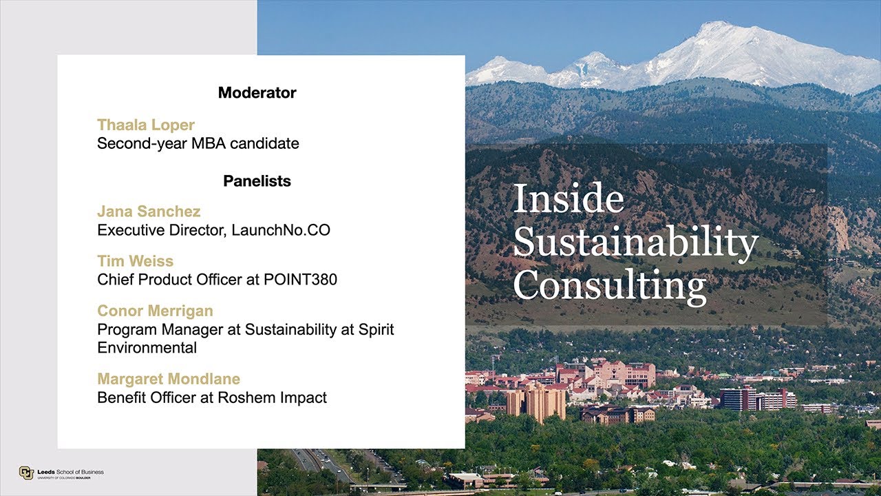 Inside Sustainability Consulting
