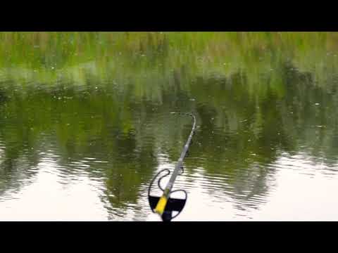 River feeder fishing  - We all wait for this moments