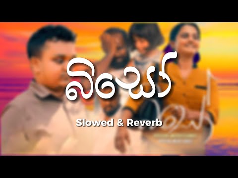 Biso (බිසෝ) | Iroshan Madushanka | Slowed & Reverb | OFFICIAL MUSIC VIDEO 2025