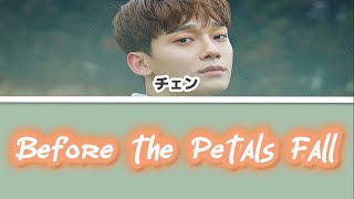 Download lagu 【カナルビ】♬Before the Petals Fall(꽃잎이 지기 전에)♬ - CHEN(EXO)/日本語字幕/日本語訳/歌詞/和訳 mp3
