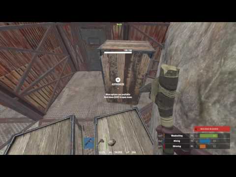 Digital Koala Live Stream