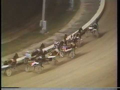 1986 Roosevelt Raceway - Slugger Almahurst & Sal Sparacino