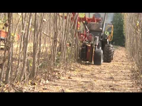 Spapperi S.r.l. - Harvester and chipper machines Mod. RT500C