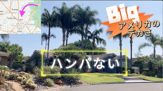 アメリカの住宅街回ってやっぱり大きい|カリフォルニア|高級住宅エリア|Tustin City【緑が多い】ロサンゼルスの南オレンジカウンティ