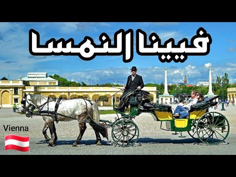 الفيديو