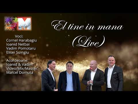 Vadim&Cornel&Elisei&Ioanid - He holds in his hand