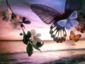 Alicia Keys - Butterflies 