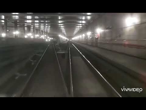 Linea lilla M5 2° parte 👍😉