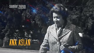 TeleEncyclopedia - Summary 2026.01.31