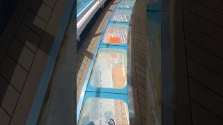 Royal Princess main pool with sky walk  #royalprincesscruise #cruiseskywalk #cruisepool