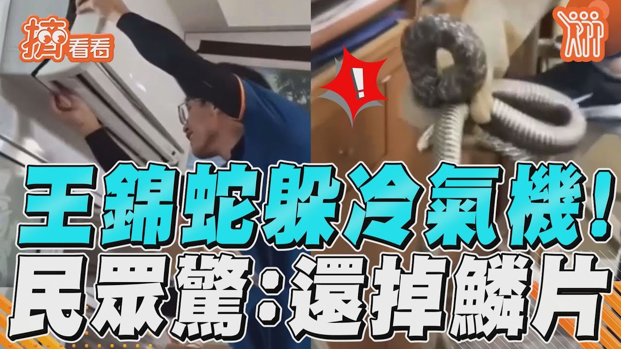 冷氣機打不開！拆開見「塞滿整條蛇」　民眾驚：還掉鱗片