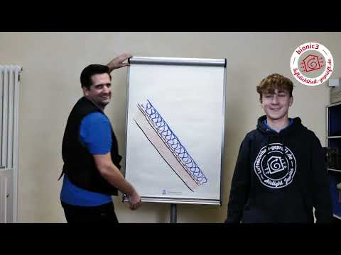 Sichtbarer Dachstuhl: Ortgang-Anschluss mit Dampfbremse| Variante 1