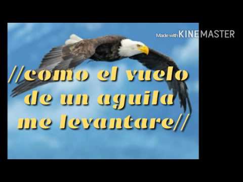 download lagu mp3 mp4 El Aguila Blanca Letra Y Acordes, download lagu El Aguila Blanca Letra Y Acordes gratis, unduh video klip El Aguila Blanca Letra Y Acordes